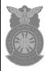 Dept of Defense - FES (silver center)